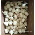 New Crop Fresh Normal White Garlic (5.0cm)